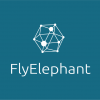 FlyElephant